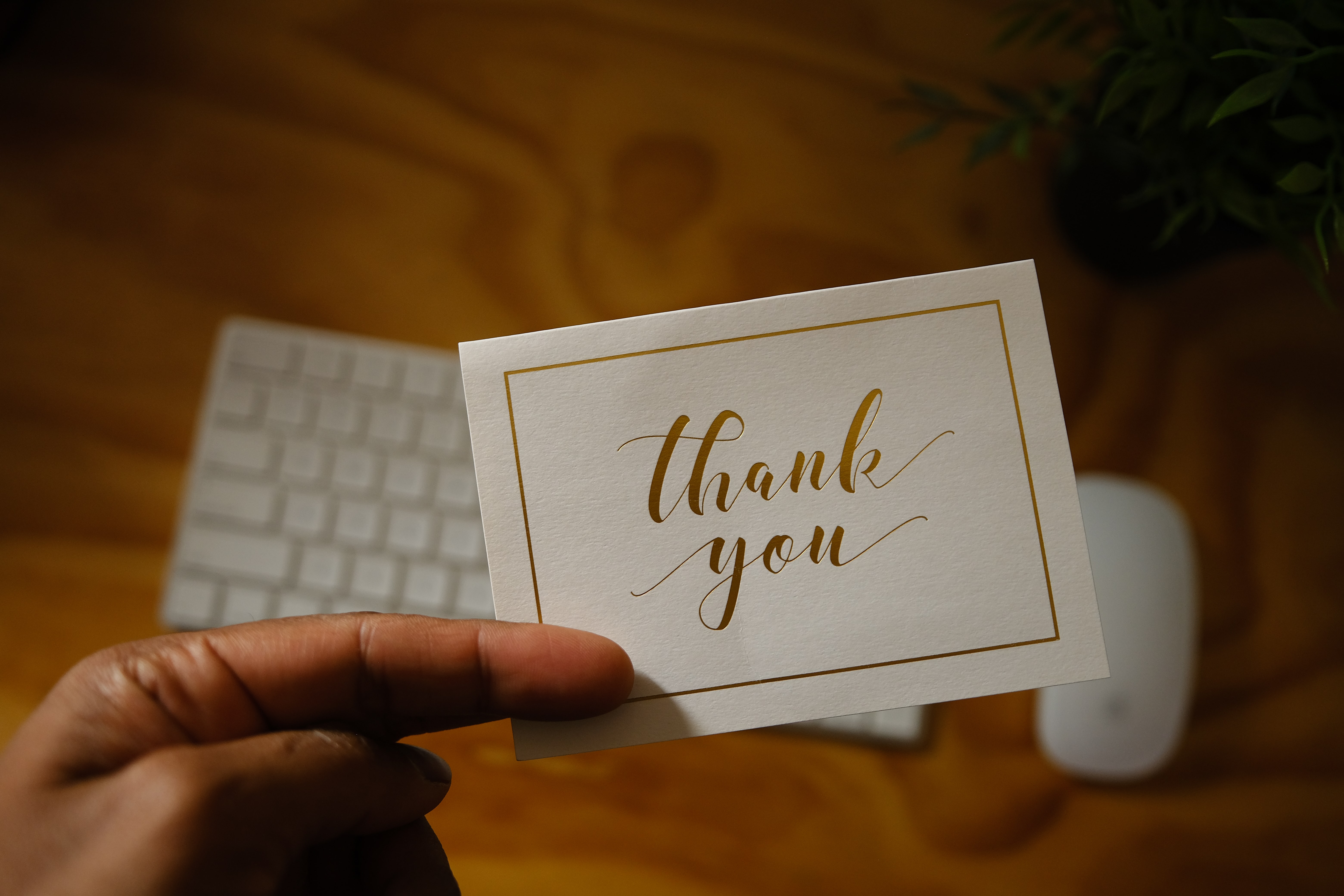 A white card with a gold border, with "thank you" written on the front